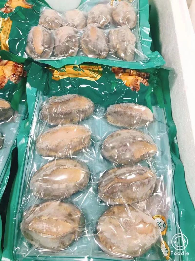 鲍鱼