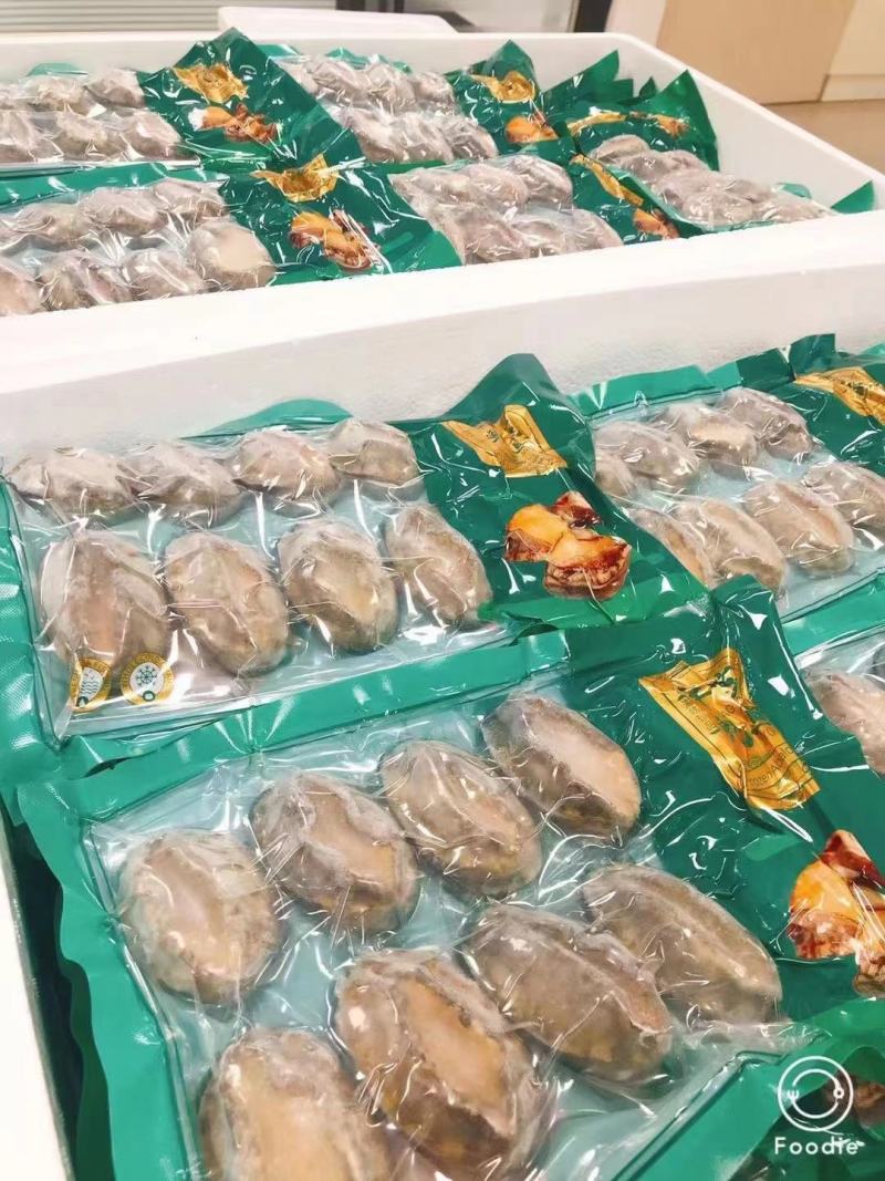 鲍鱼