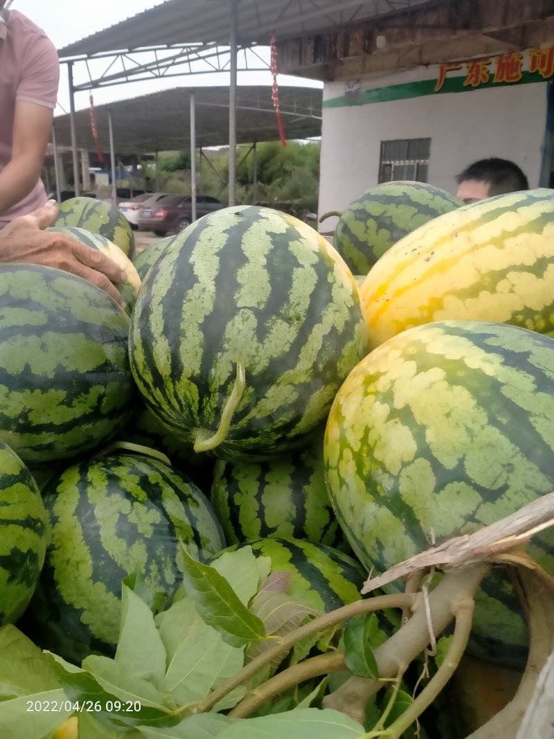 甜王西瓜