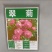 翠菊花卉种子江西腊七月菊花籽春秋播种易活花海盆栽单色混色