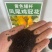 鸡冠花籽四季种子火焰凤尾鸡冠花种籽红色矮生冠状庭院室内外