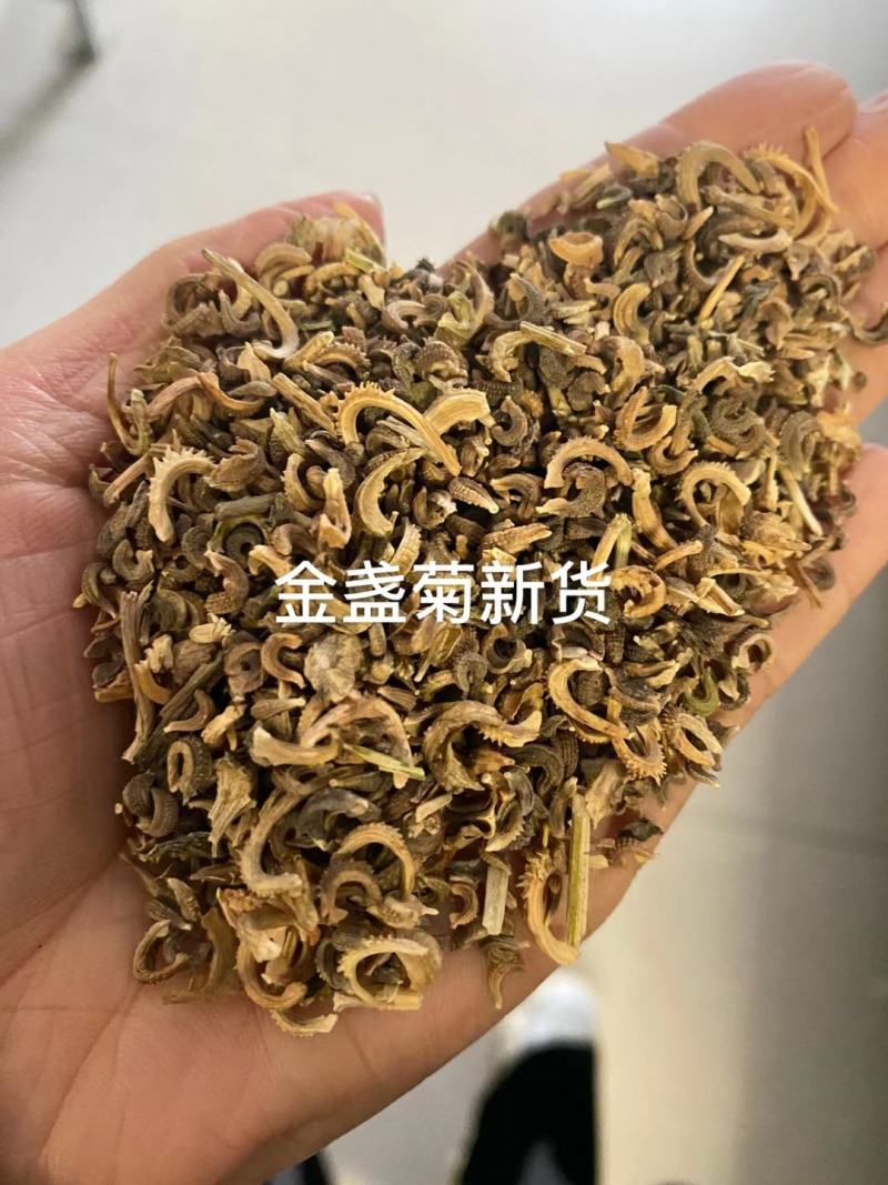 四季种易活开花夏播室内盆栽花卉夏季花种子夏天种花草