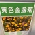 四季种易活开花夏播室内盆栽花卉夏季花种子夏天种花草