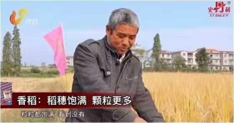 史丹利紫三安全水溶工业一铵吸收快利用率高三包两亩地