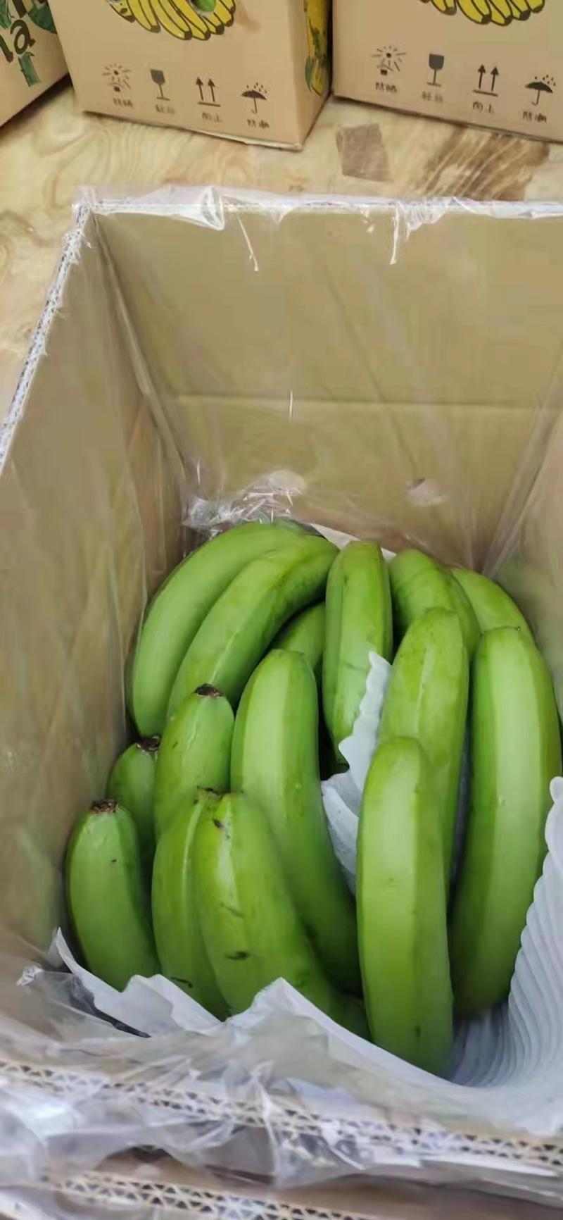 香蕉是芭蕉科芭蕉属多年生常绿草本热带果树。1958年从越