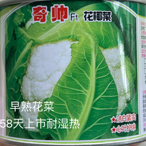 郑研种苗奇帅花椰菜种子早熟菜花58上市白耐湿热