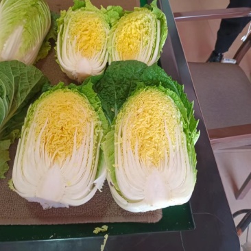 大量现货出售白菜