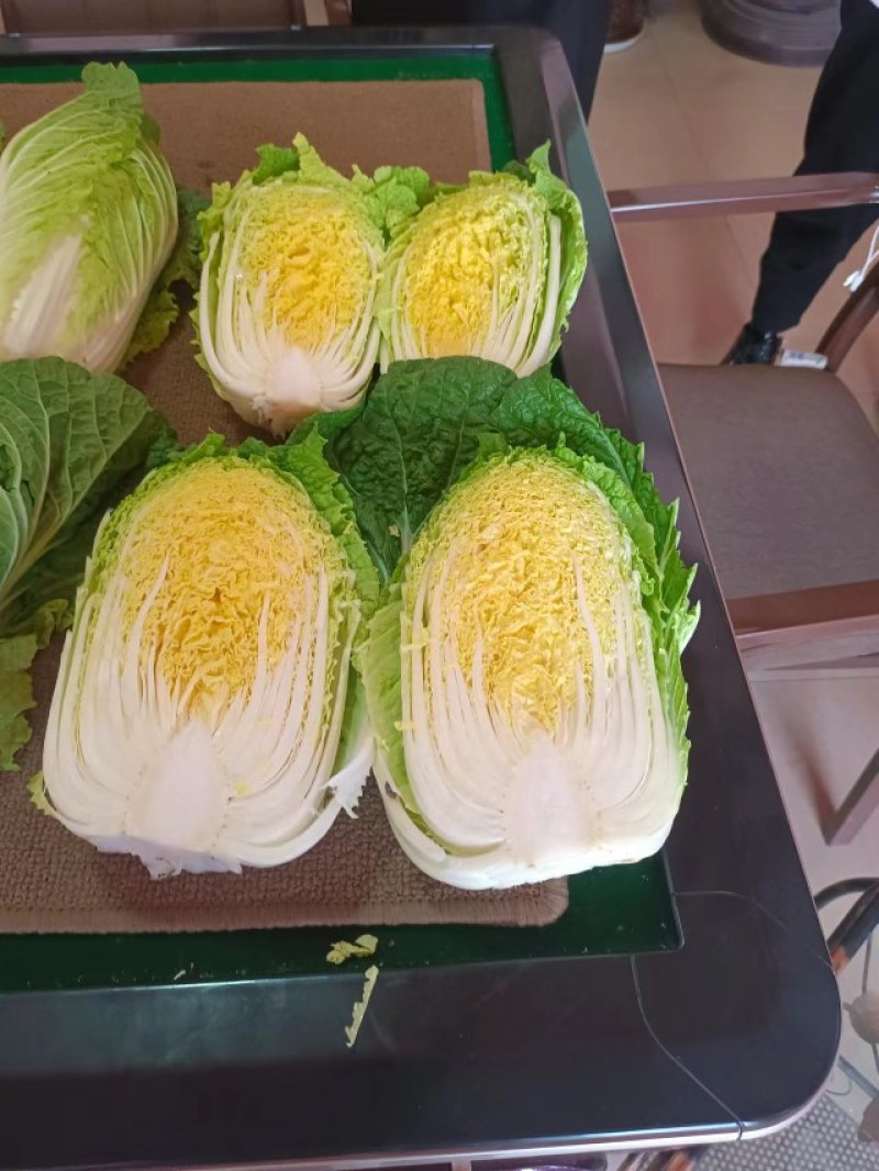 大量现货出售白菜