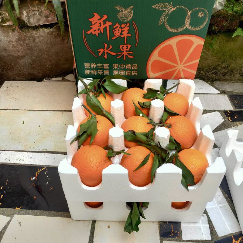 青见果冻橙水份瀑足味甜产地直发一件代发包邮包售后
