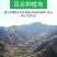 食用鲜甜百合精品三头两头各种品类产地直销欢迎选购