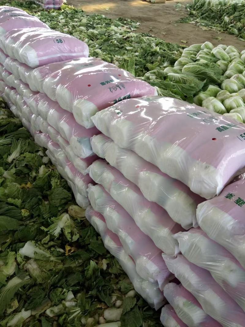 黄心白菜白菜心黄嫩货源充足新鲜现货产地直发