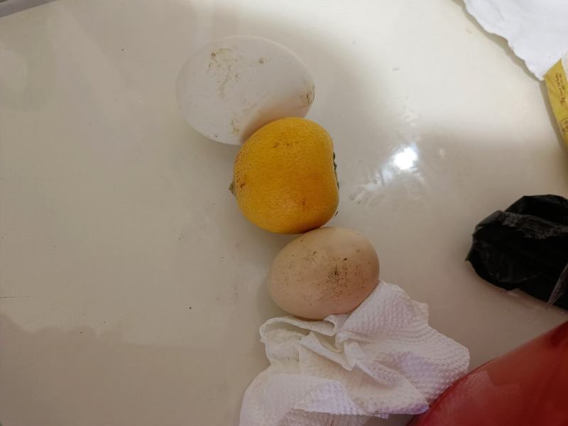 云南大兴乌沙枇杷