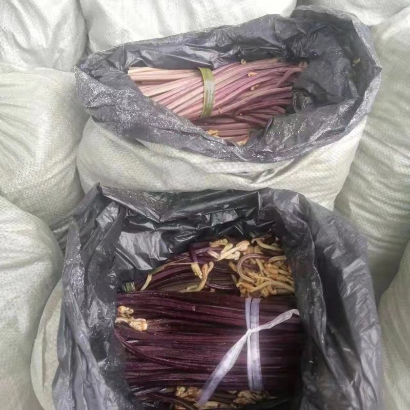 清水蕨菜原材料