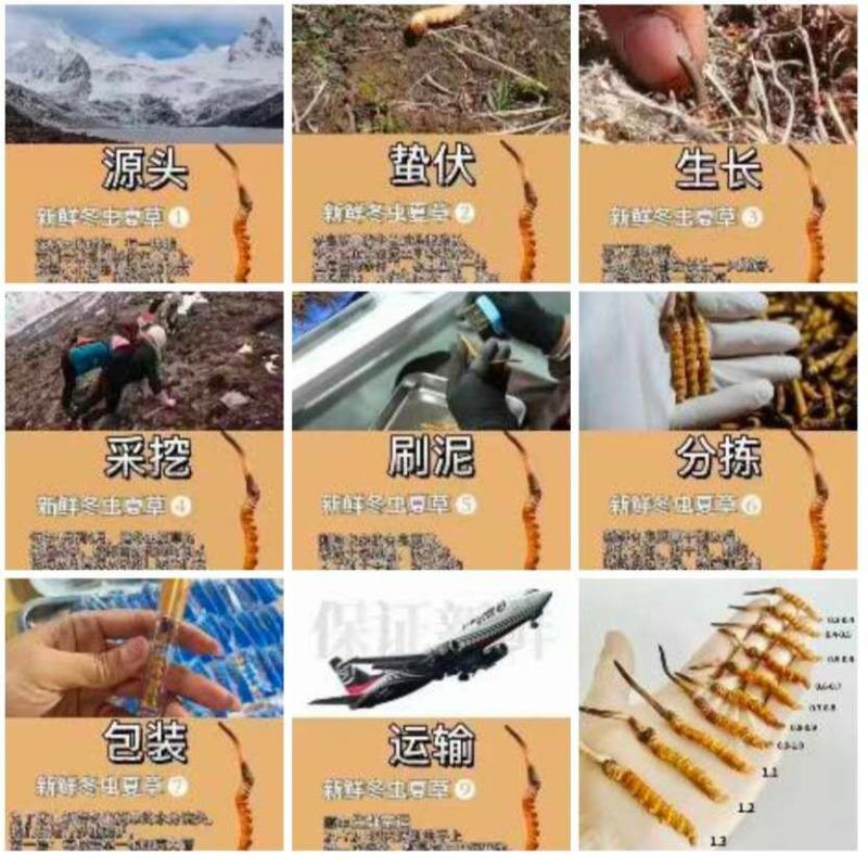 薄利多销，保质保退顺丰包邮