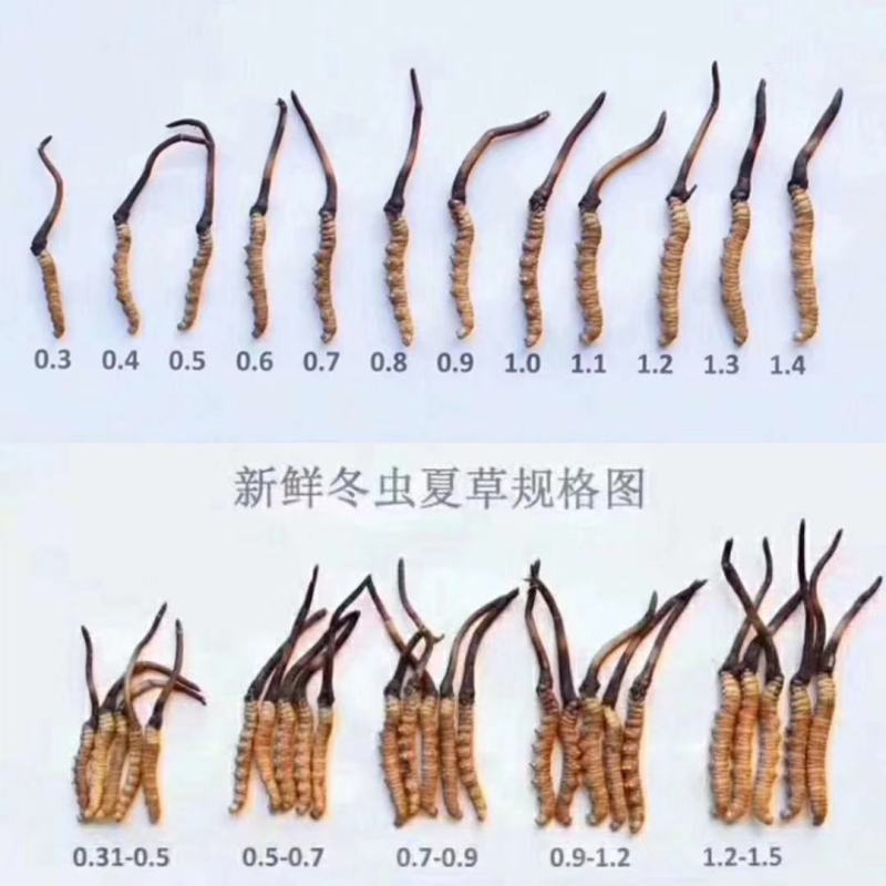 薄利多销，保质保退顺丰包邮