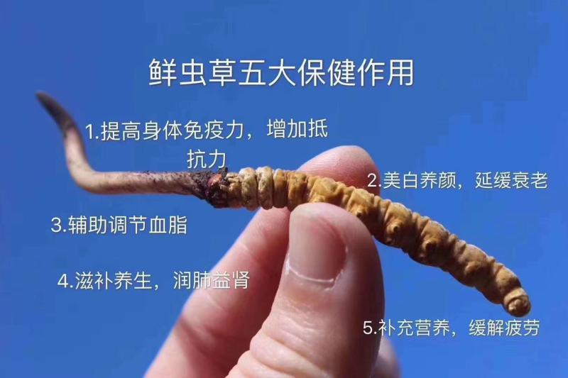 薄利多销，保质保退顺丰包邮