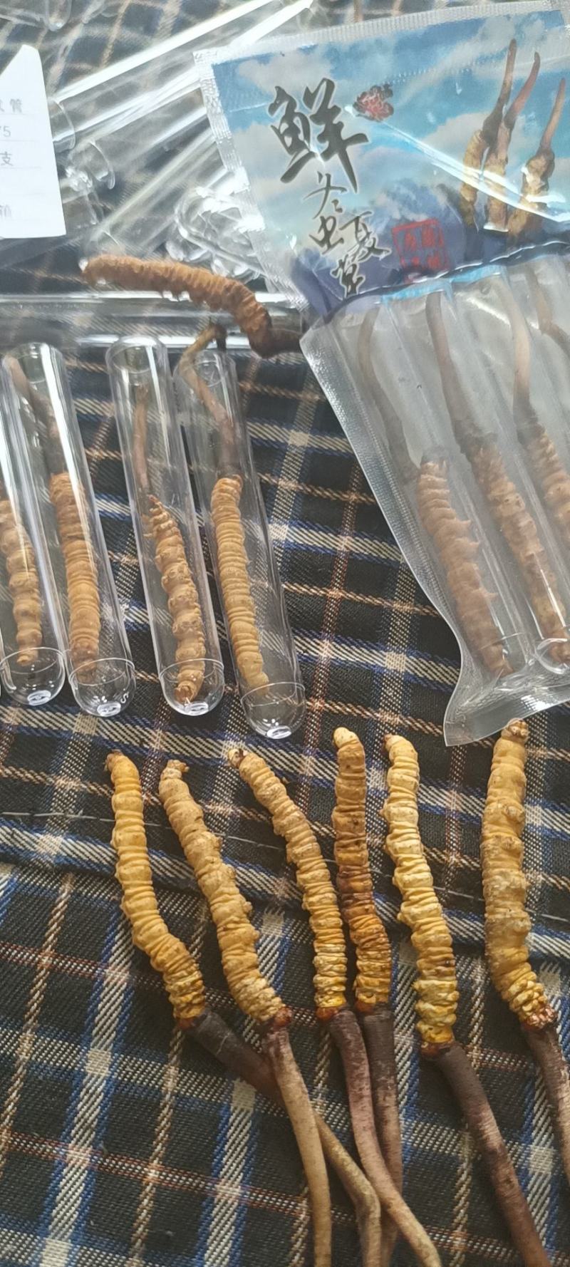 薄利多销，保质保退顺丰包邮