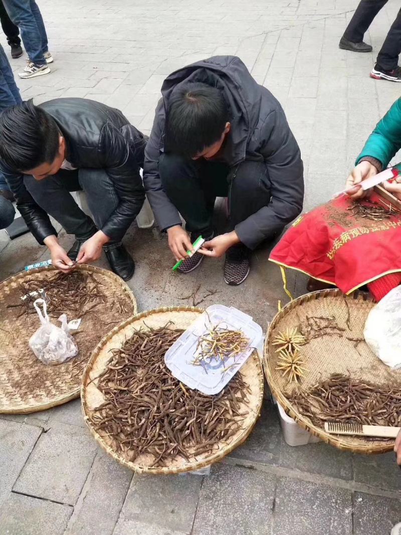 薄利多销，保质保退顺丰包邮