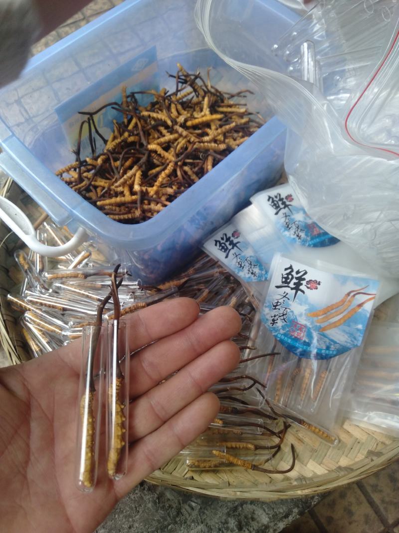 薄利多销，保质保退顺丰包邮