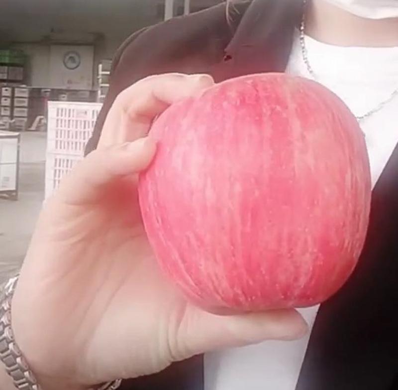 红富士苹果-冷库红富士产地一手货源，手选装货-口感脆甜-