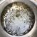 优质鲫鱼苗中科三号银鲫鱼夏花乌子寸片
