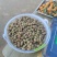 鲜桑葚.新鲜桑葚.鲜桑葚基地诚寻加工商供应商