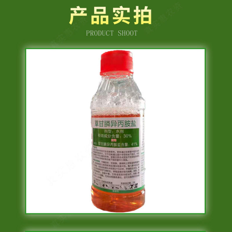 立本快应草甘膦异丙胺盐柑橘园荒地田埂路边杂草烂根除草剂