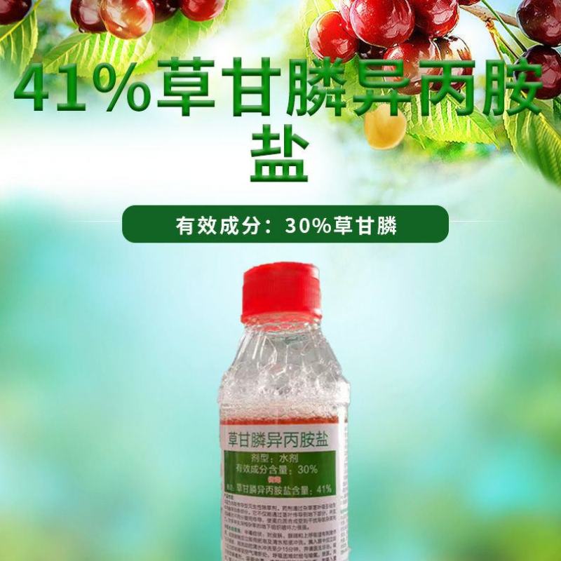 立本快应草甘膦异丙胺盐柑橘园荒地田埂路边杂草烂根除草剂