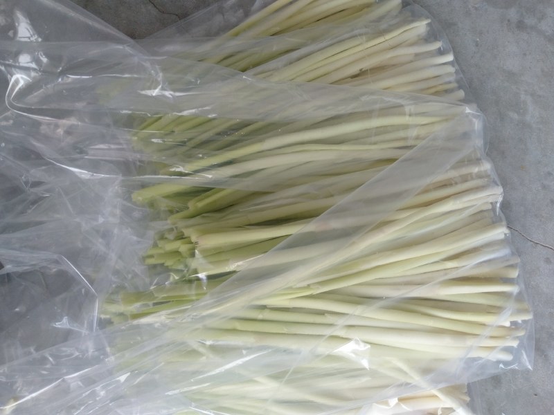 蒲菜