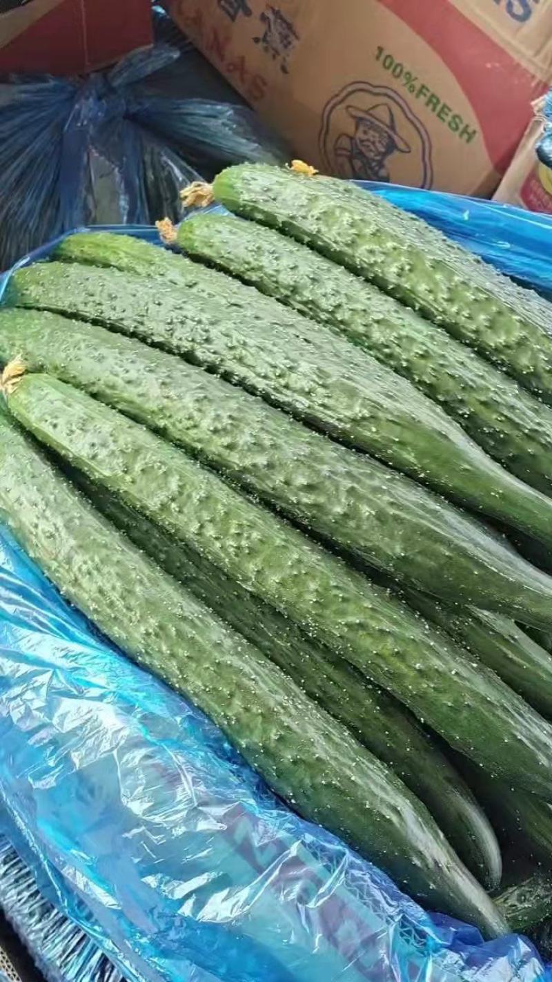 精品，顶花带刺，我们有一流的团队，专业的服务为您打造。