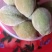 来自农家自种的青梅子新鲜，5斤为一件批发包邮。