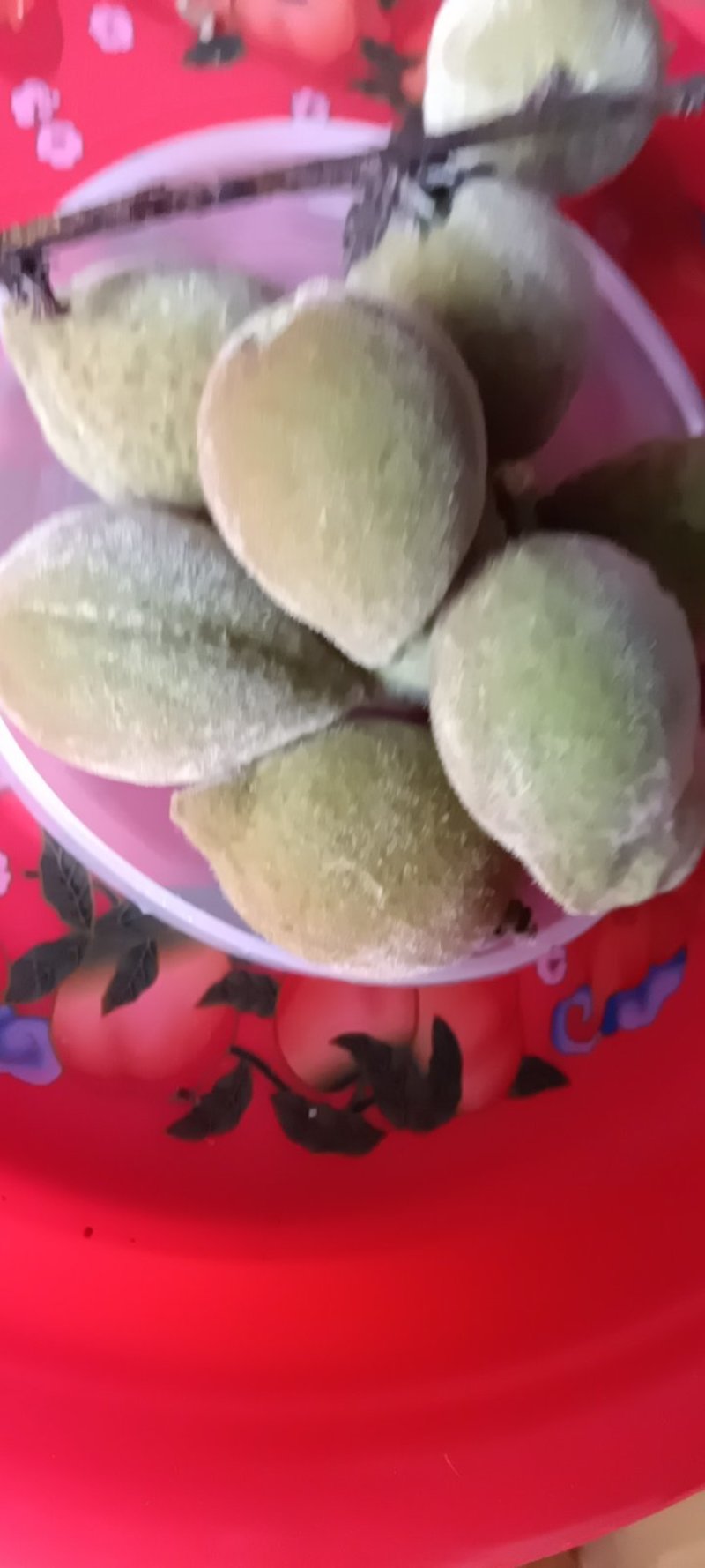 来自农家自种的青梅子新鲜，5斤为一件批发包邮。