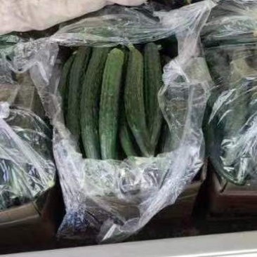 黄瓜