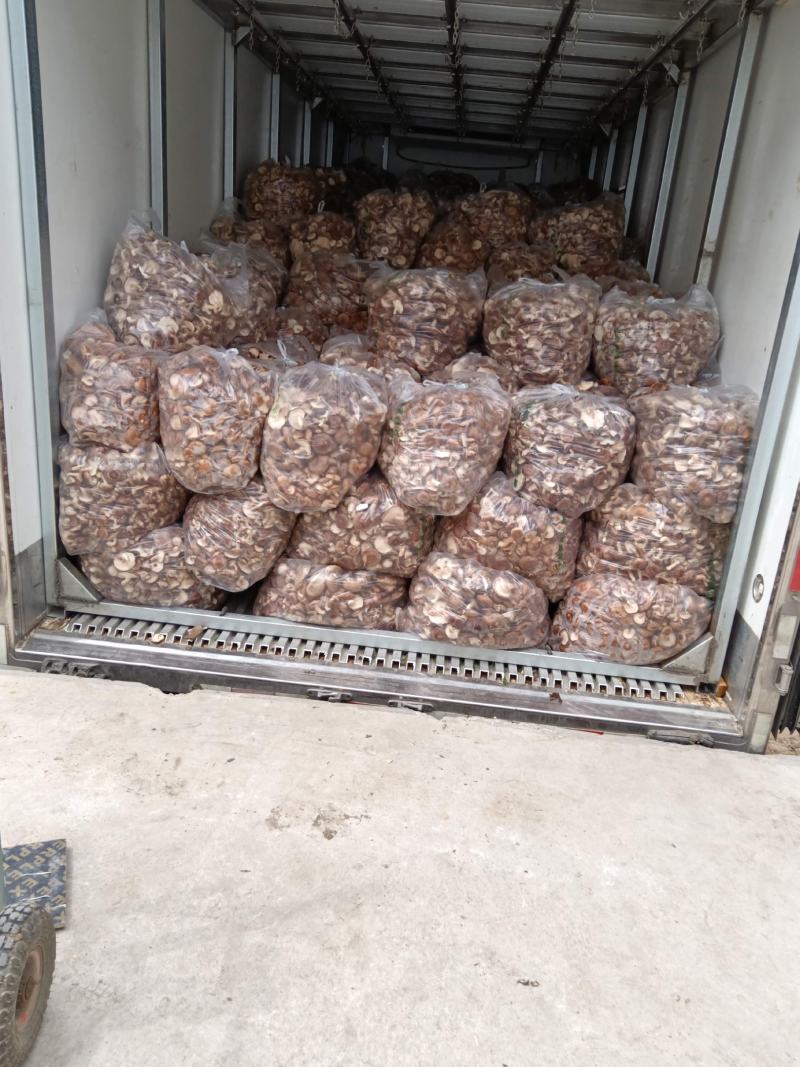 河北邢台香菇工厂货源片菇菜菇产地一手货