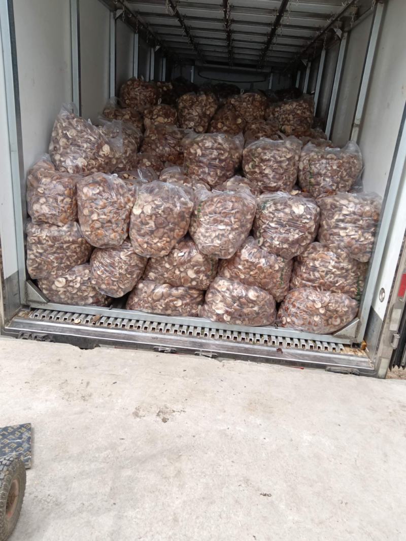 河北邢台香菇工厂货源片菇菜菇产地一手货