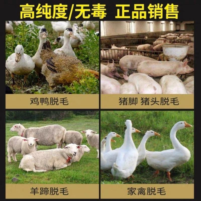 特级松香甘油酯食用松香拔毛无毒家禽鸡鸭鹅脱猪毛高粘度黄香