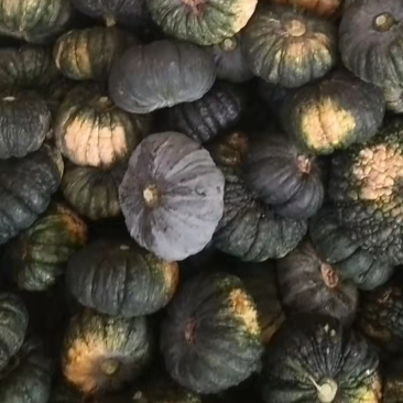 赖可丽