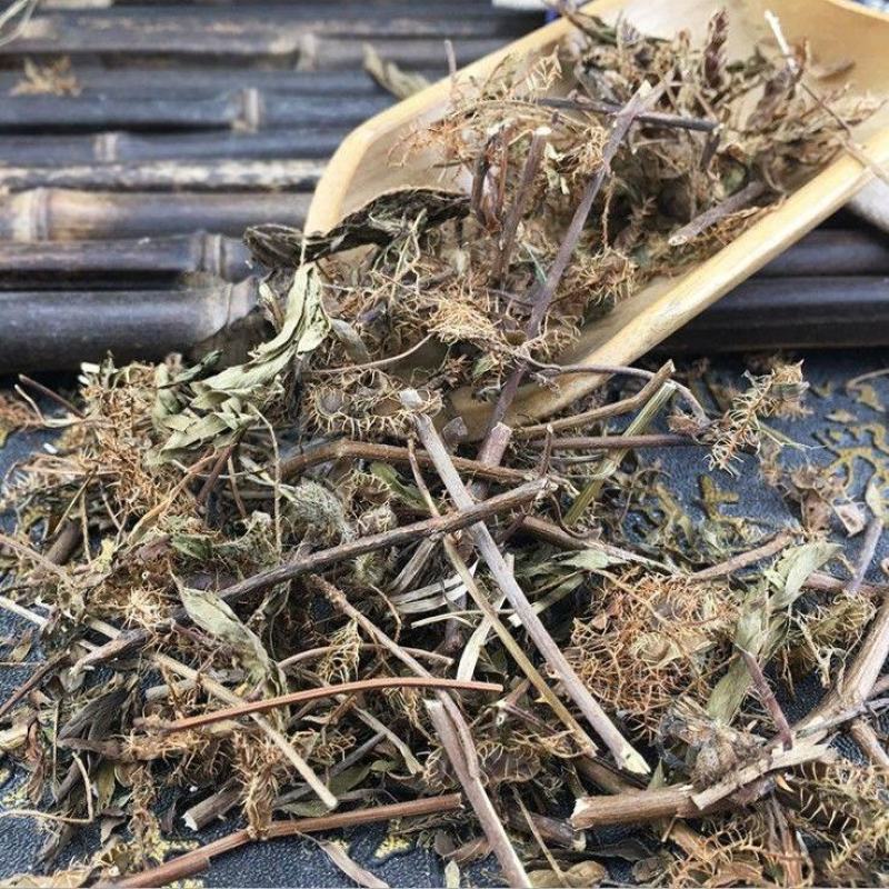 望江南.产地广西，道地药材，质优价实，品质保证，药典标准