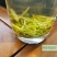 正宗雅安蒙顶山茶高山茶明前特级绿茶三款甘露
