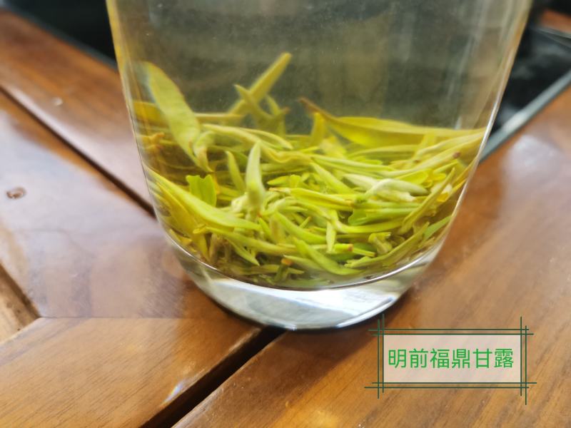 正宗雅安蒙顶山茶高山茶明前特级绿茶三款甘露