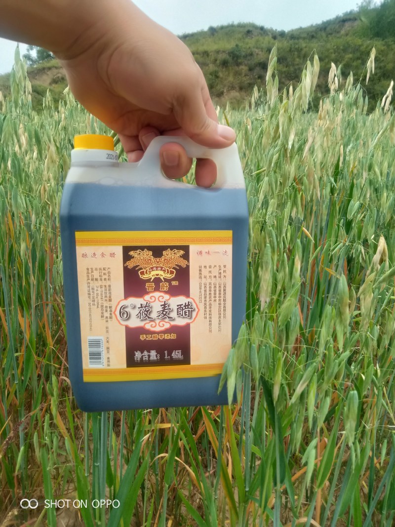 卖莜麦醋