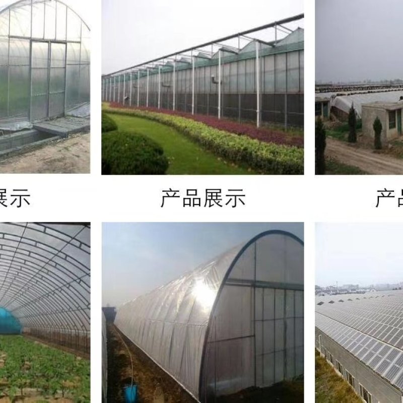 供应薄膜温室，玻璃温室，日光温室，春秋大棚，花卉温室