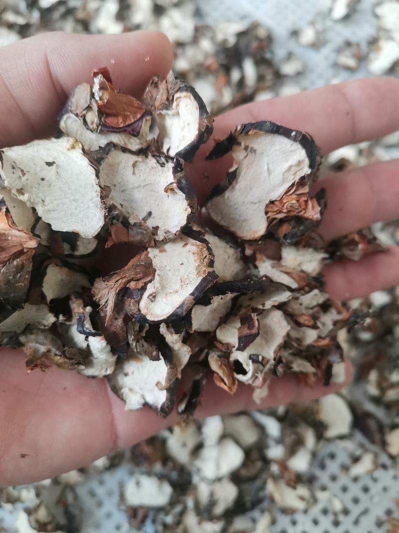 甜脆马蹄干片荸荠干片煲汤糖水原料大片马蹄干足干无硫