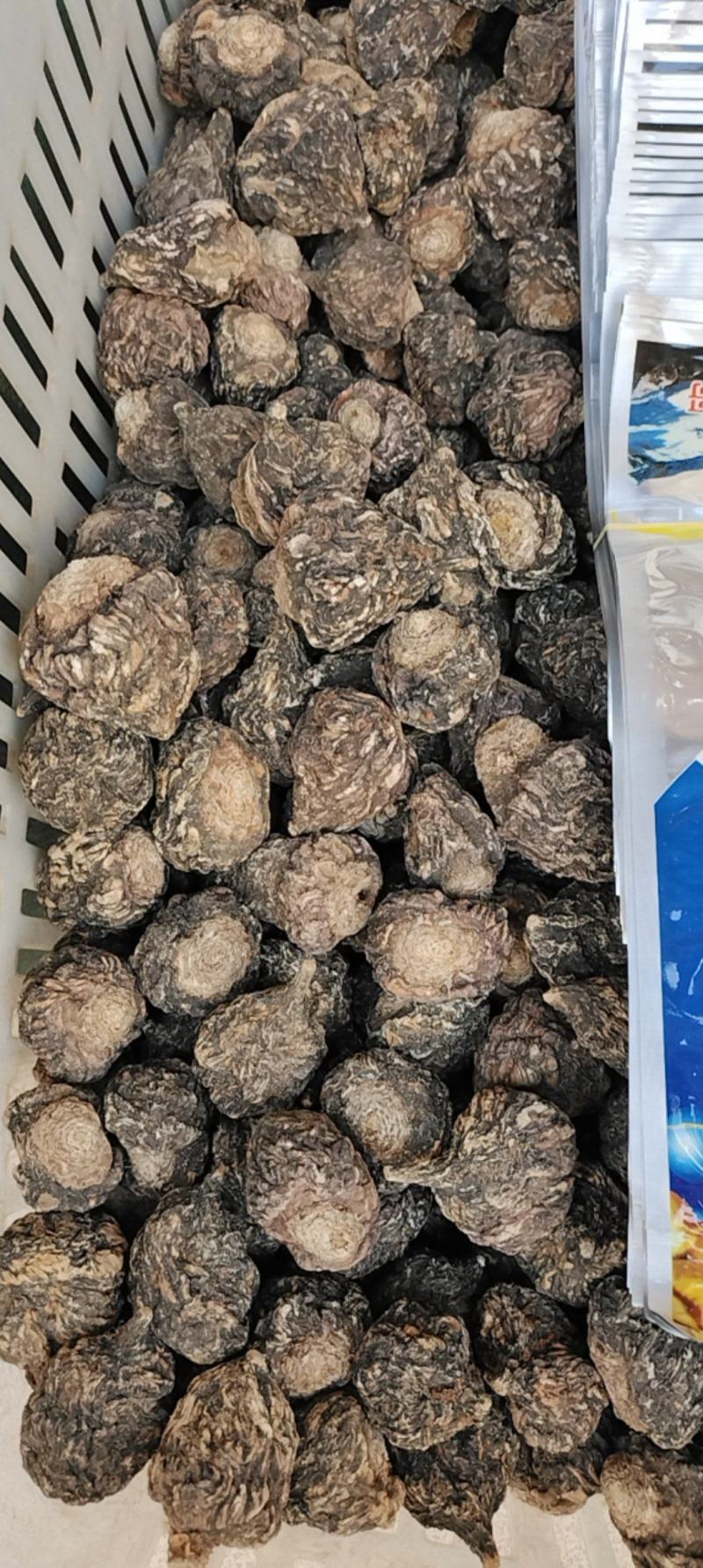 黑玛咖片