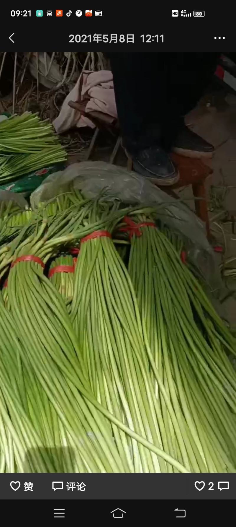 蒜苔