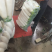 湖北天门白萝卜大量上市，三排四排五排规格齐全，品质保障