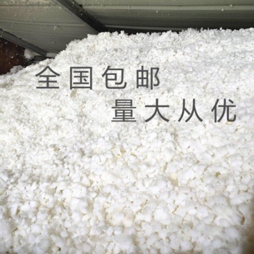 棉花长绒棉花货干杂质少价格优惠常年供应欢迎来电