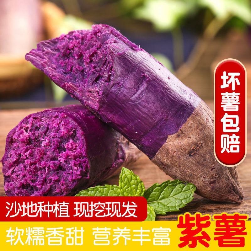 紫薯量大质优货源充足产地直销欢迎采购