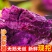 紫薯量大质优货源充足产地直销欢迎采购