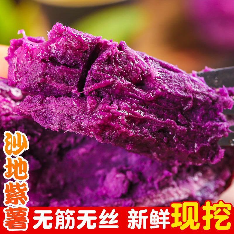 紫薯量大质优货源充足产地直销欢迎采购